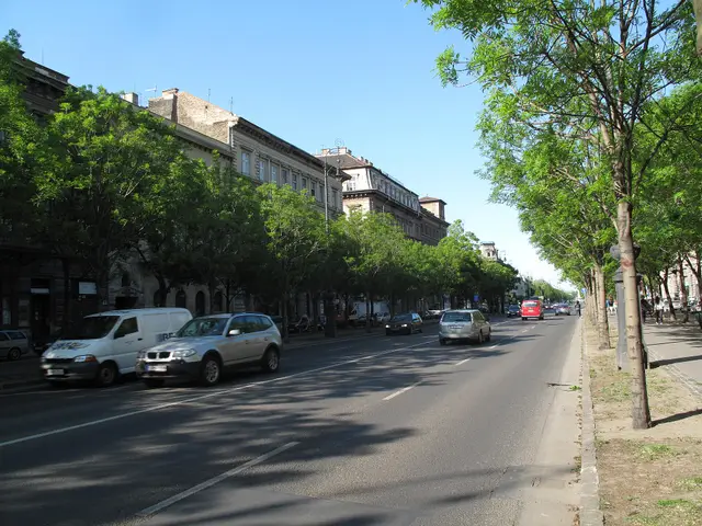 A tree-lined stretch of Andrássy Avenue with cars and historic buildings