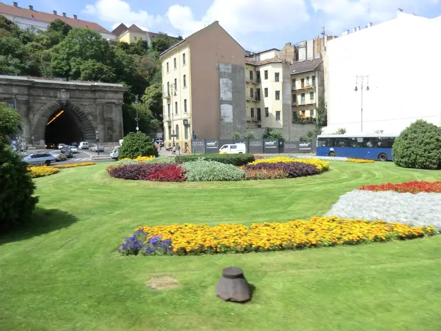 A circular flowerbed in Clark Ádám Square with the Castle Hill tunnel entrance behind