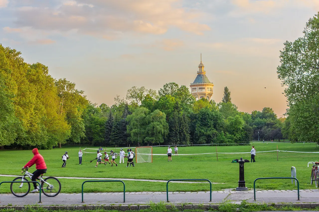 Lawns and trees on Margaret Island with people playing sport and the water tower in the distance